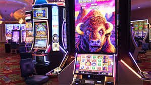vip bet